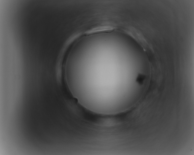 X0000100760344200807031154