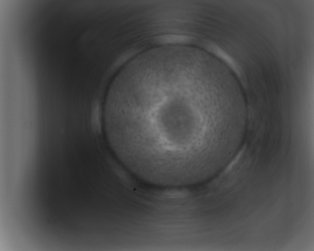 X0000100760345200807031154