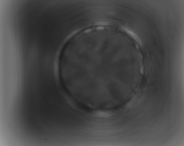 X0000100760346200807031154