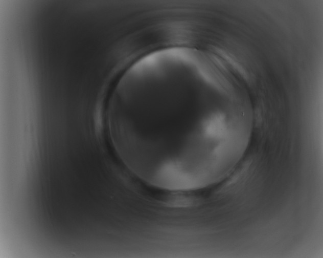 X0000100760347200807031154