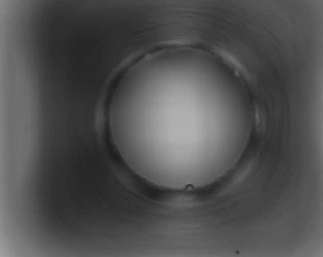 X0000100760348200807031154