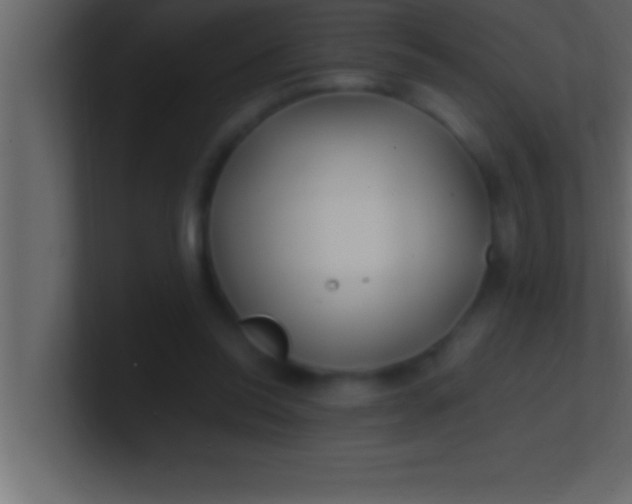 X0000100760350200807031154