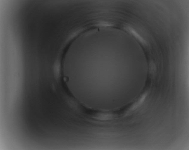 X0000100760351200807031154