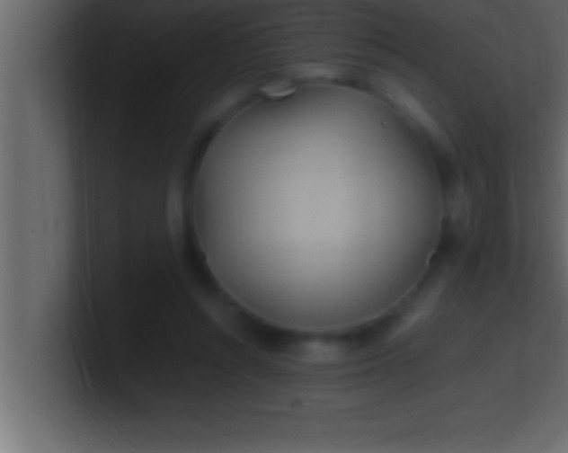 X0000100760352200807031154