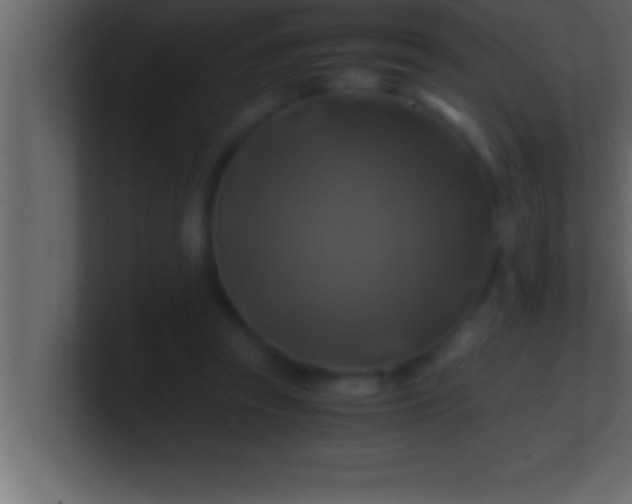 X0000100760353200807031154