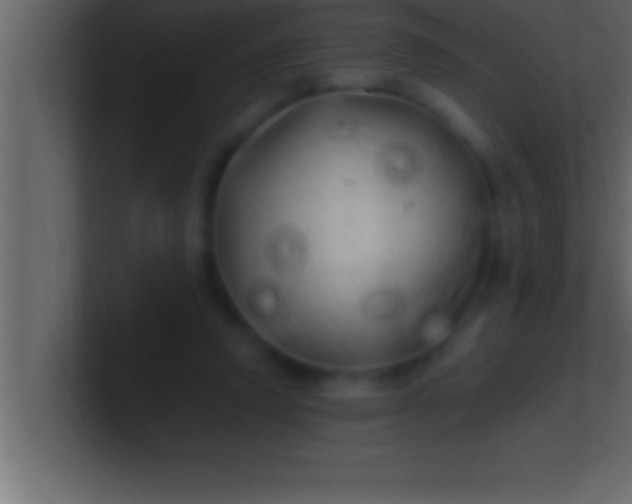 X0000100760354200807031154