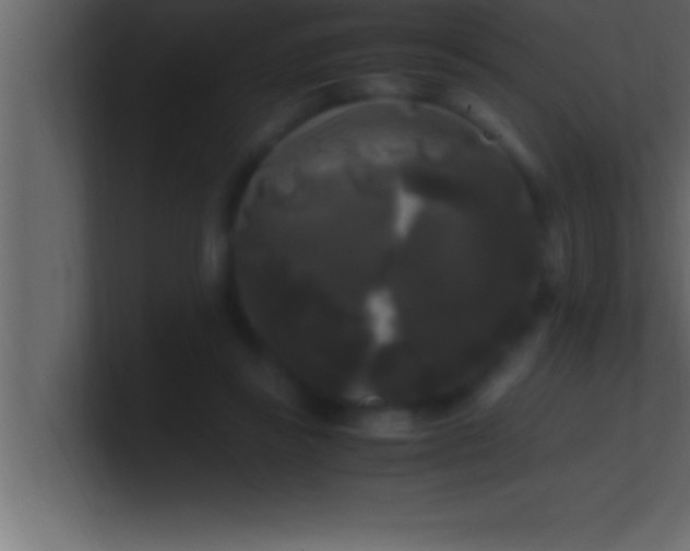 X0000100760355200807031154