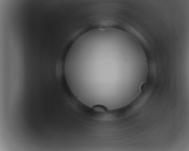 X0000100760356200807031154