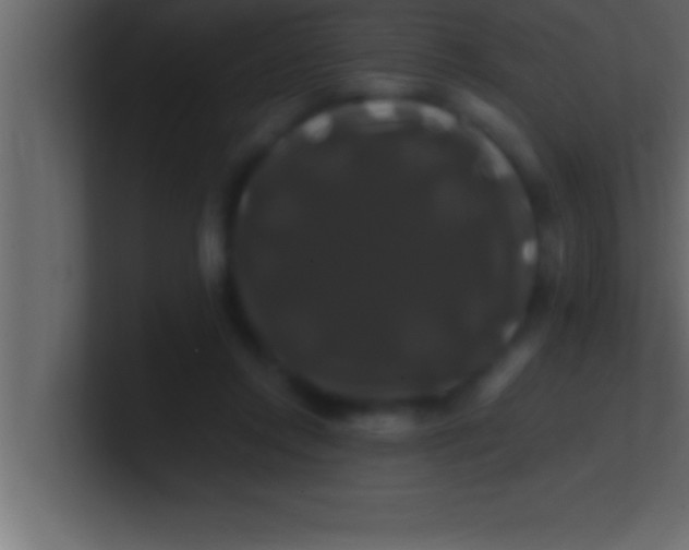 X0000100760358200807031154