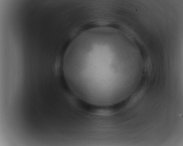 X0000100760360200807031154