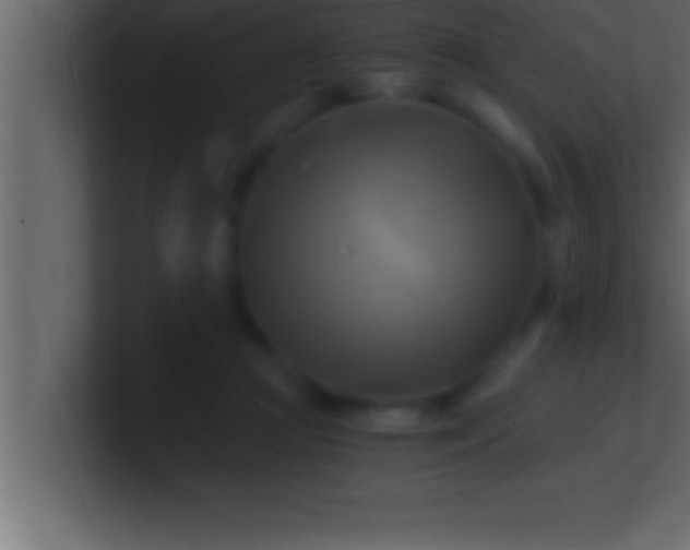 X0000100760361200807031154