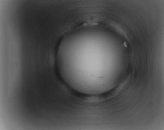 X0000100760362200807031154