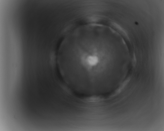 X0000100760366200807031154