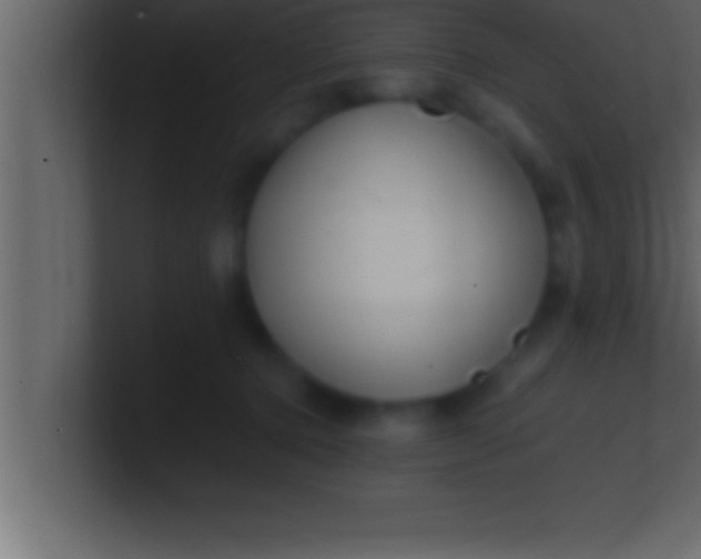 X0000100760368200807031154