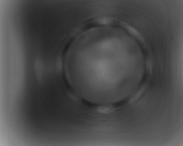 X0000100760373200807031155