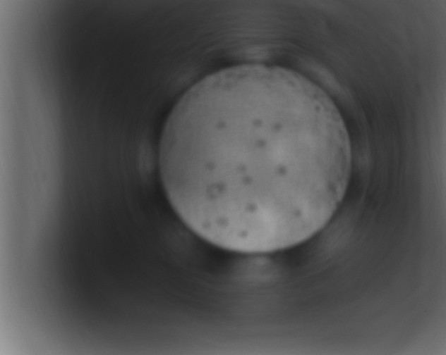 X0000100760374200807031155