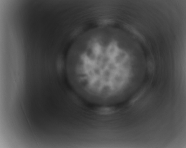 X0000100760375200807031155