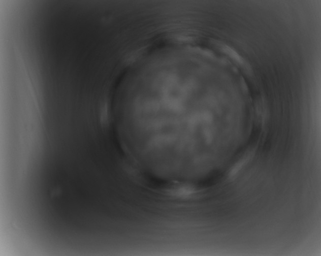 X0000100760377200807031155