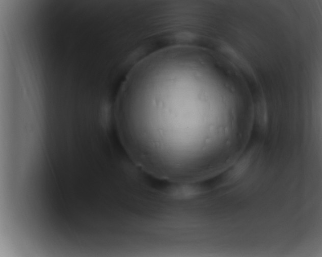 X0000100760378200807031155