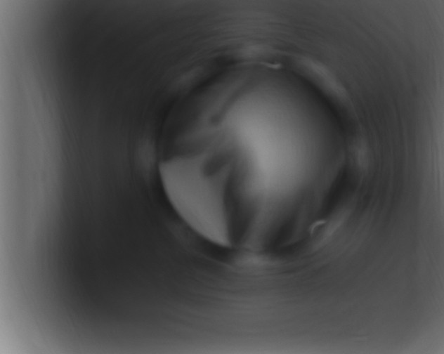 X0000100760380200807031155