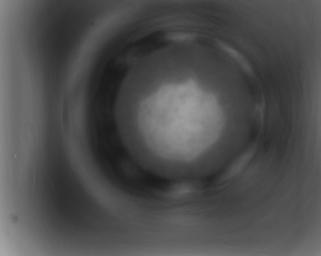 X0000100760381200807031155