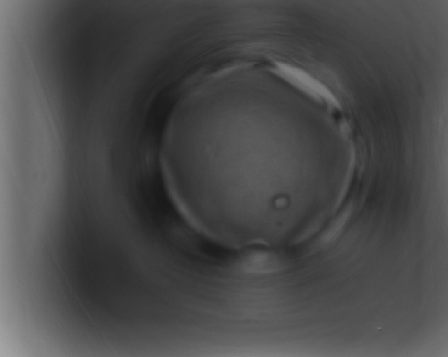 X0000100760382200807031155