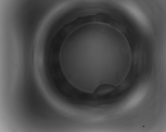 X0000100760383200807031155