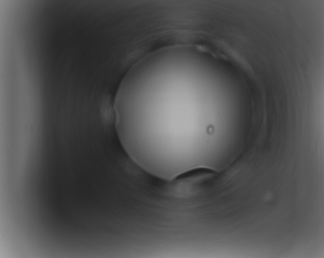 X0000100760384200807031155