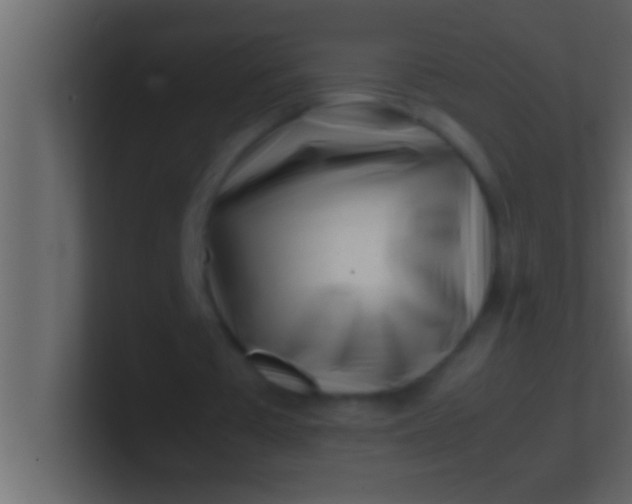 X0000100760385200807031154