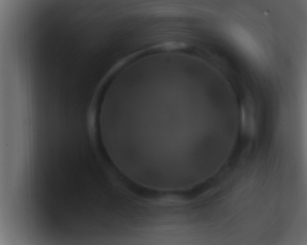 X0000100760387200807031154