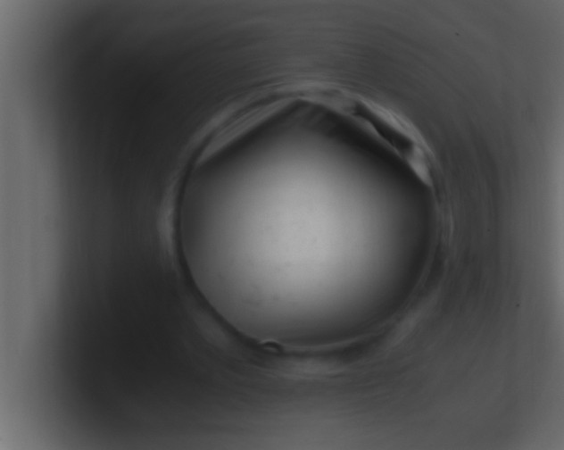 X0000100760389200807031154