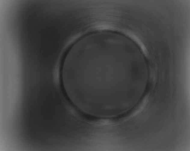 X0000100760391200807031154