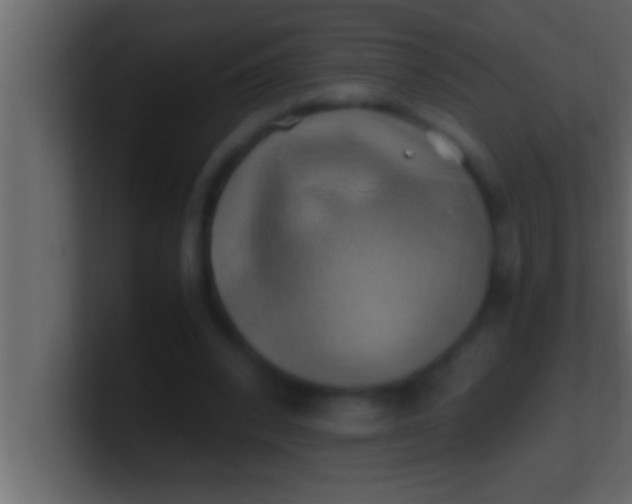 X0000100760392200807031154