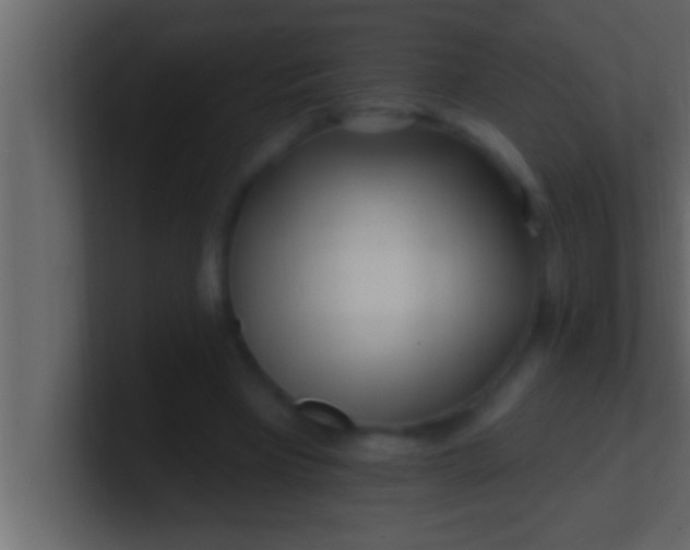 X0000100760393200807031154