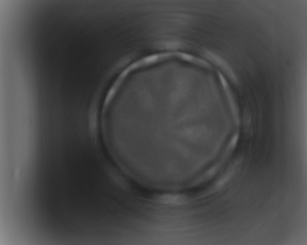 X0000100760394200807031154