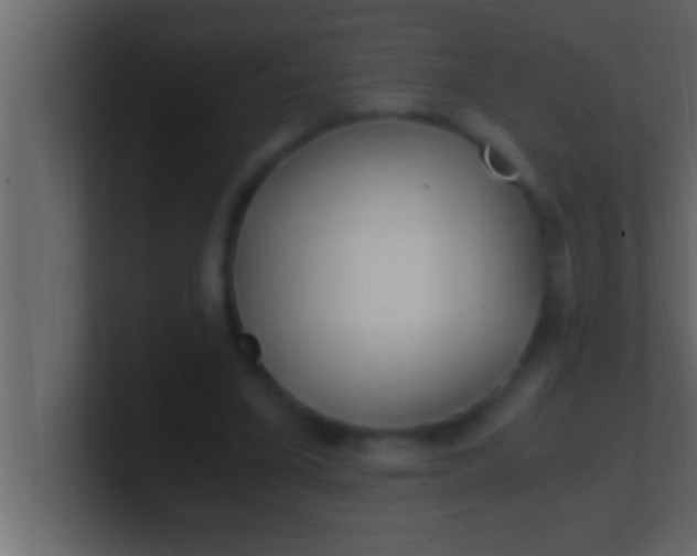 X0000100760395200807031154