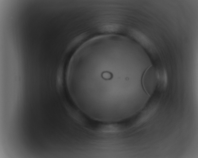 X0000100760396200807031154