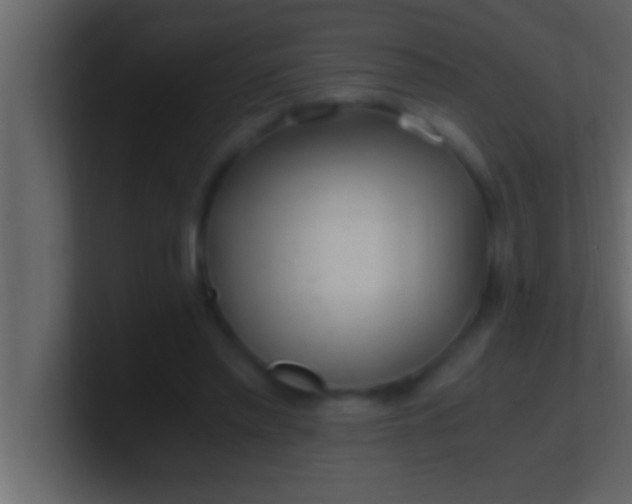 X0000100760397200807031154