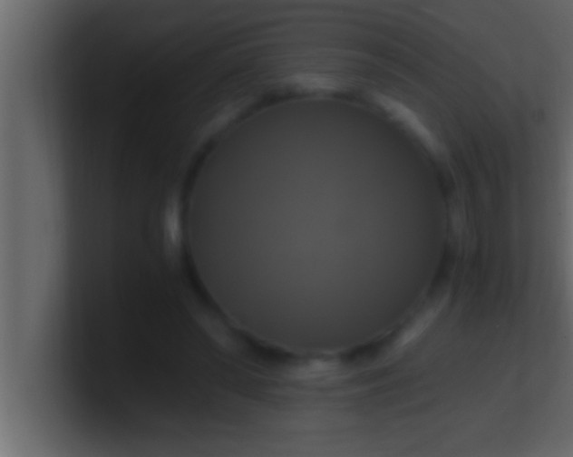 X0000100760398200807031154