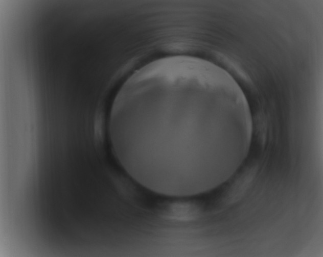 X0000100760400200807031154