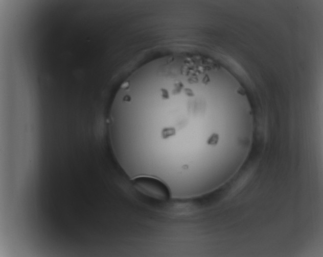 X0000100760401200807031154