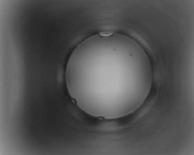 X0000100760403200807031154