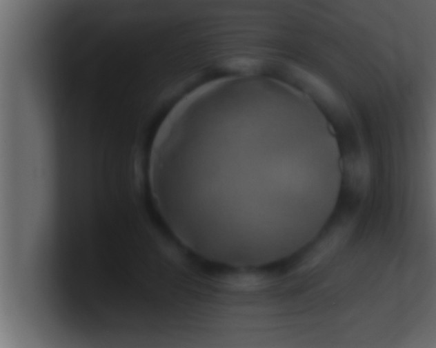 X0000100760404200807031154