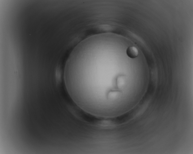 X0000100760406200807031154