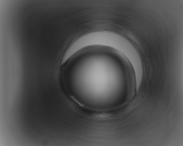 X0000100760407200807031154