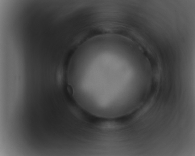 X0000100760408200807031154