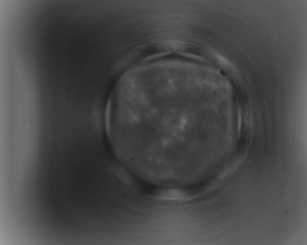 X0000100760409200807031154