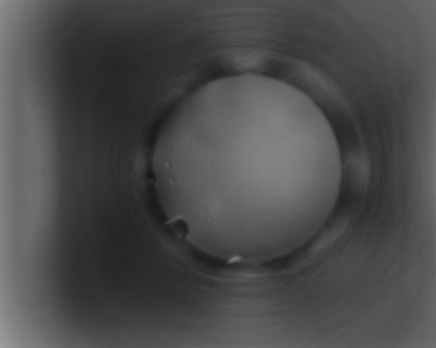 X0000100760412200807031154