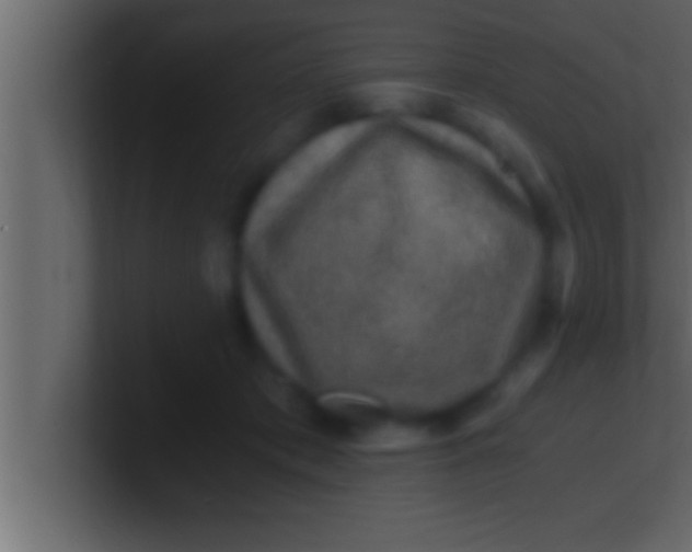 X0000100760413200807031154