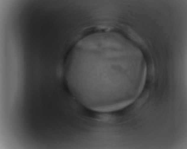 X0000100760417200807031154